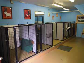 Small Dog Kennels